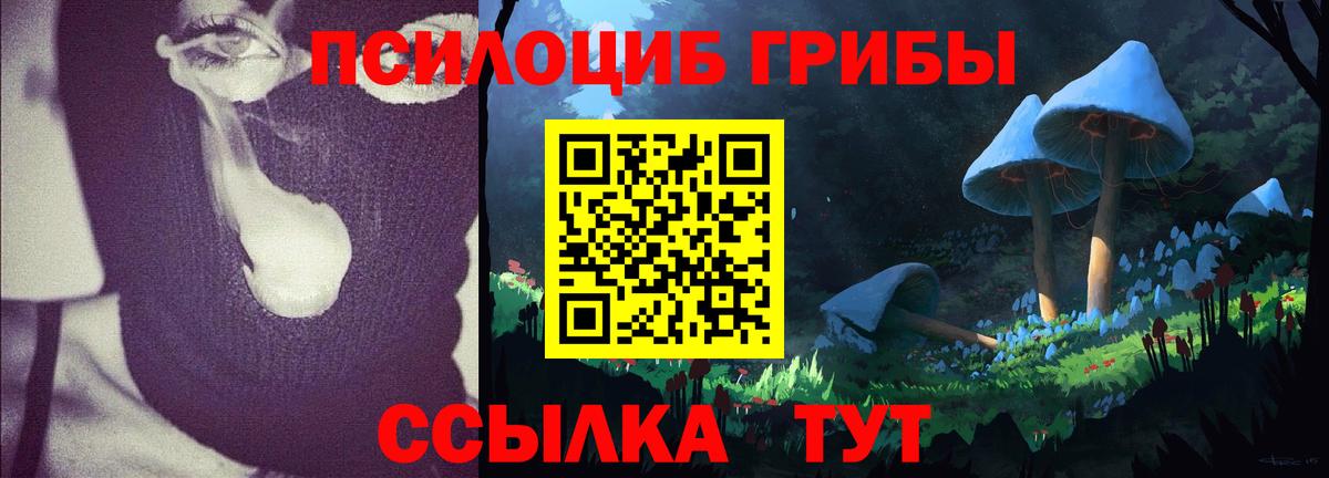 Псилоцибиновые грибы Cubensis Алапаевск